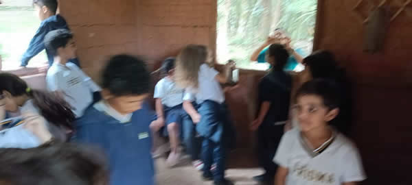 Bicho Mania 2022